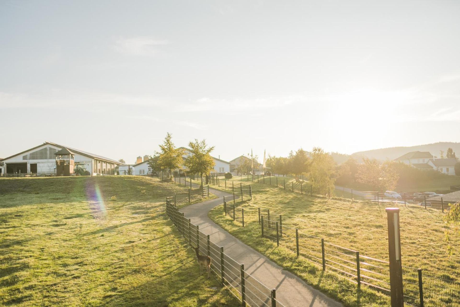 Hof Koehne - Doppelhaus - Wohnung Dreifachhexe Schmallenberg Exteriör bild